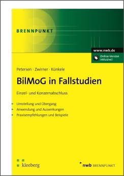 BilMoG in Fallstudien